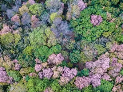 Sacred Nature Биорегенерация
